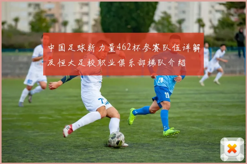 中国足球新力量462杯参赛队伍详解及恒大足校职业俱乐部梯队介绍