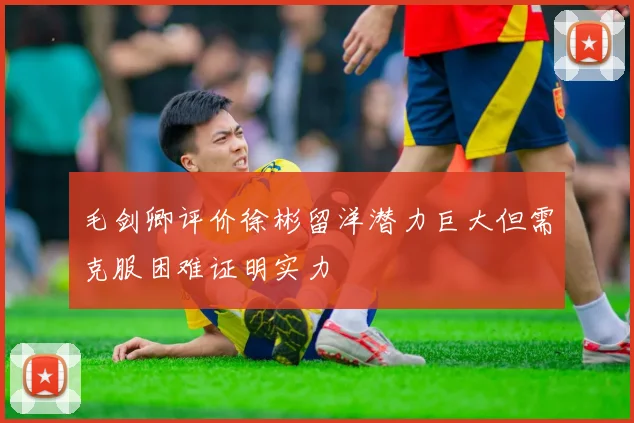 毛剑卿评价徐彬留洋潜力巨大但需克服困难证明实力
