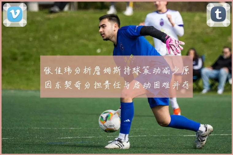 张佳玮分析詹姆斯持球策动减少原因东契奇分担责任与启动困难并存