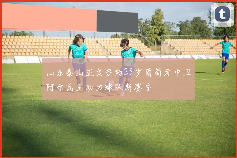 山东泰山正式签约25岁葡萄牙中卫阿尔瓦罗助力球队新赛季