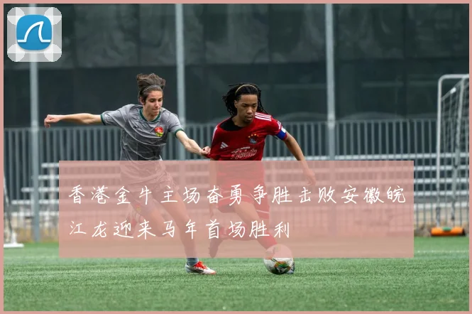 香港金牛主场奋勇争胜击败安徽皖江龙迎来马年首场胜利