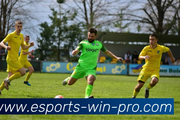 电竞博彩平台生态图